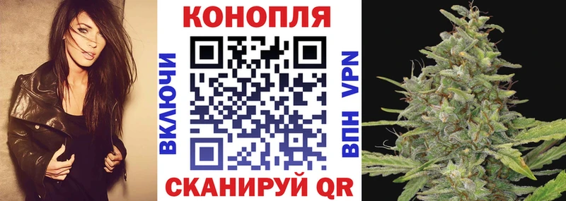 Марихуана OG Kush  Трёхгорный 